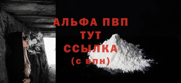 сатива Баксан