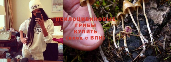 apvp Инсар