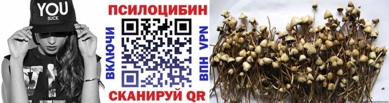 Псилоцибиновые грибы Psilocybine cubensis  Ликино-Дулёво 